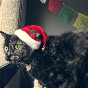 Meet your Posher, Mica